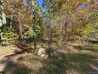 TBD Remington Road, Marquette, MI 49855