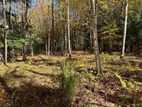 TBD Remington Road, Marquette, MI 49855