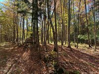 TBD Remington Road, Marquette, MI 49855