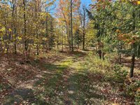 TBD Remington Road, Marquette, MI 49855