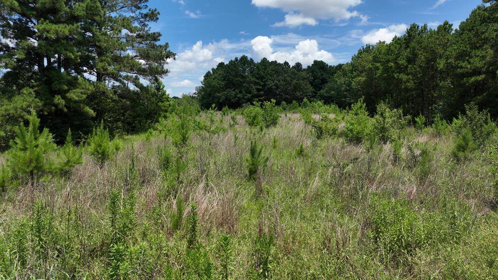 26.46 AC McBride Rd, Texarkana, AR 71854