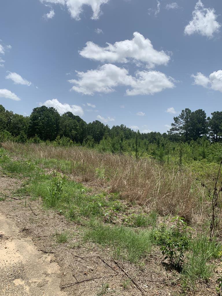 26.46 AC McBride Rd, Texarkana, AR 71854