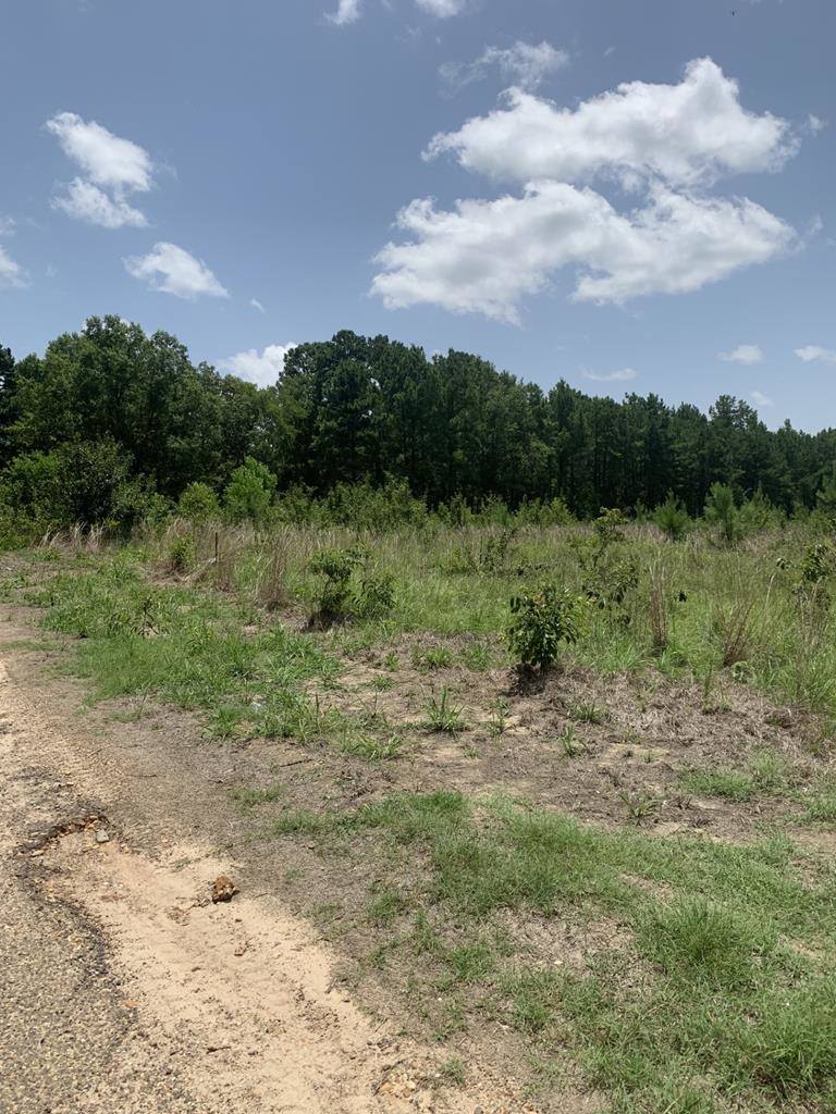 26.46 AC McBride Rd, Texarkana, AR 71854