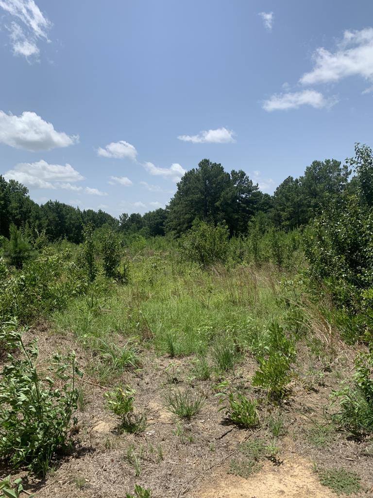 26.46 AC McBride Rd, Texarkana, AR 71854