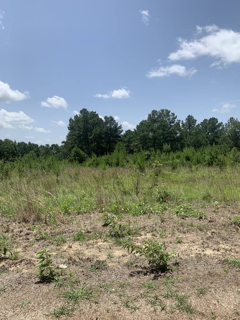 26.46 AC McBride Rd, Texarkana, AR 71854