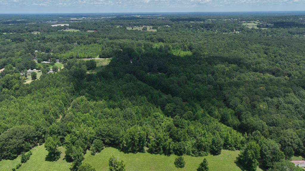 26.46 AC McBride Rd, Texarkana, AR 71854