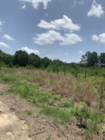 26.46 AC McBride Rd, Texarkana, AR 71854