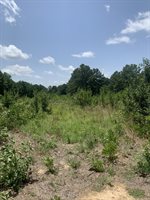 26.46 AC McBride Rd, Texarkana, AR 71854