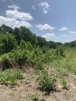 26.46 AC McBride Rd, Texarkana, AR 71854