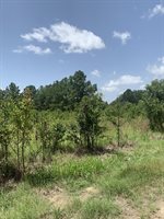 26.46 AC McBride Rd, Texarkana, AR 71854