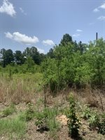 26.46 AC McBride Rd, Texarkana, AR 71854