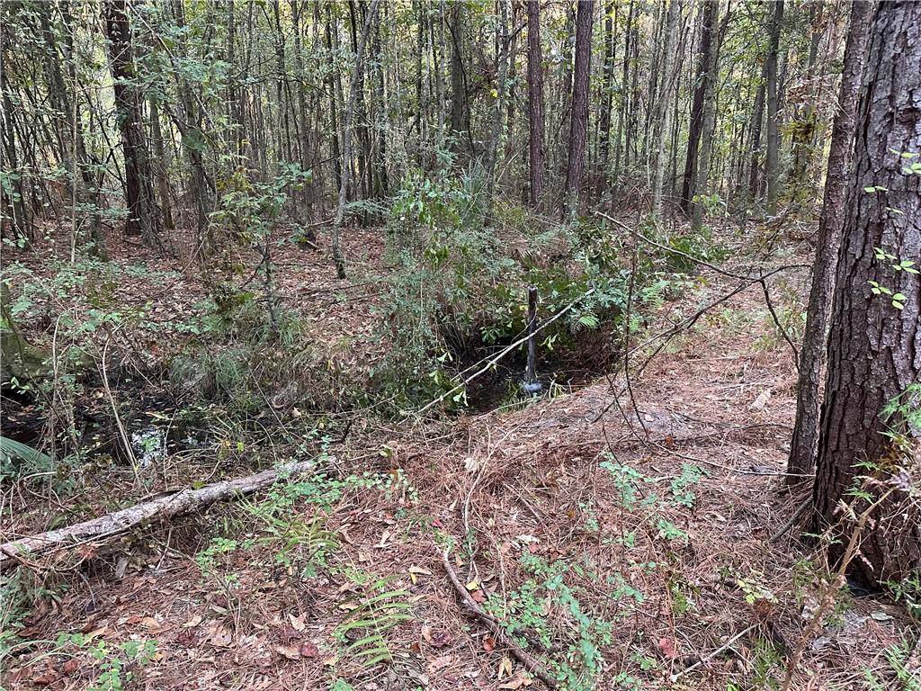 Cow Lane, Ponchatoula, LA 70454