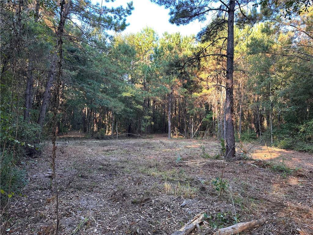 Cow Lane, Ponchatoula, LA 70454