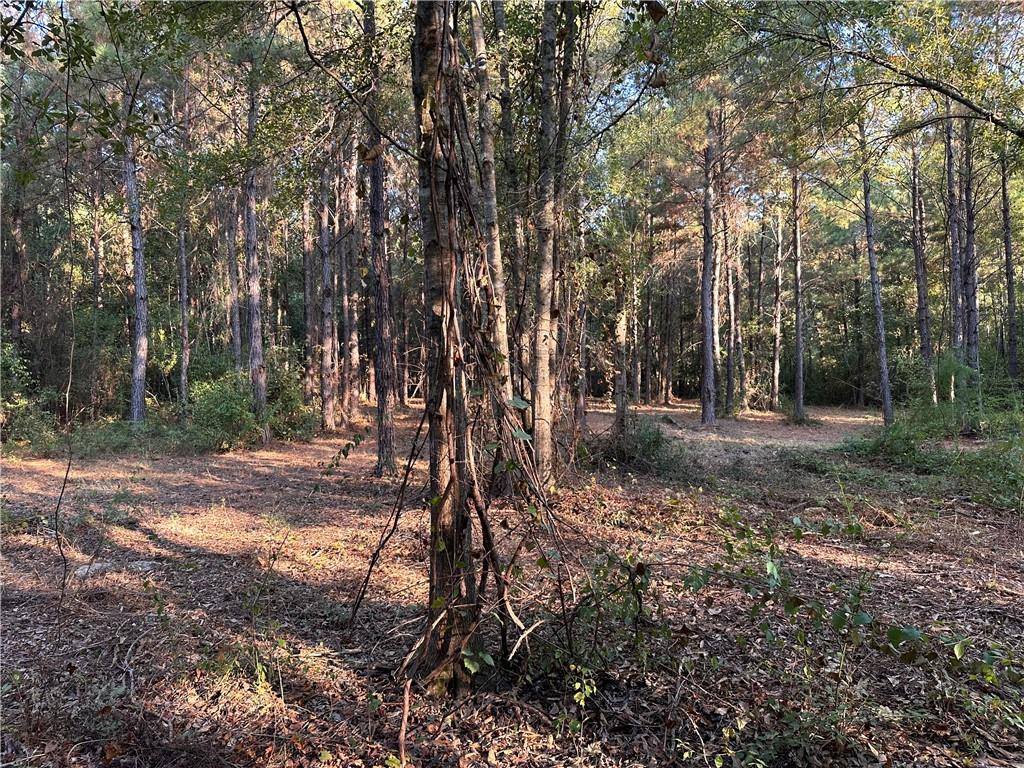 Cow Lane, Ponchatoula, LA 70454