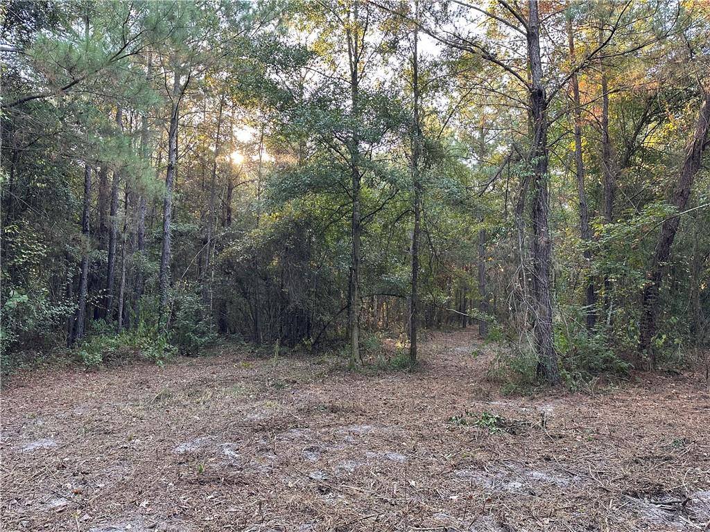 Cow Lane, Ponchatoula, LA 70454