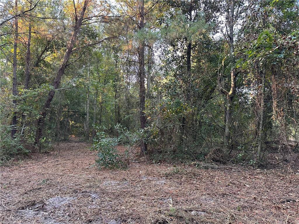 Cow Lane, Ponchatoula, LA 70454