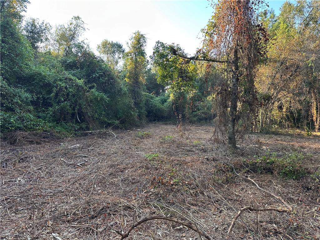 Cow Lane, Ponchatoula, LA 70454