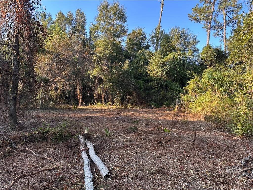 Cow Lane, Ponchatoula, LA 70454