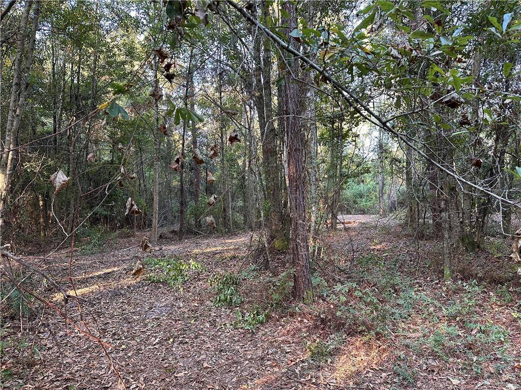 Cow Lane, Ponchatoula, LA 70454