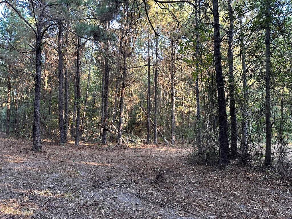 Cow Lane, Ponchatoula, LA 70454