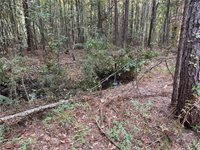 Cow Lane, Ponchatoula, LA 70454