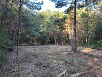 Cow Lane, Ponchatoula, LA 70454