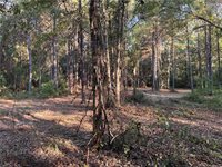 Cow Lane, Ponchatoula, LA 70454