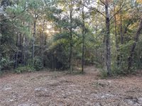 Cow Lane, Ponchatoula, LA 70454