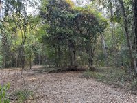 Cow Lane, Ponchatoula, LA 70454