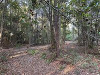 Cow Lane, Ponchatoula, LA 70454