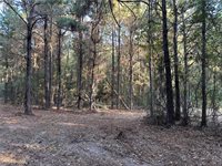 Cow Lane, Ponchatoula, LA 70454