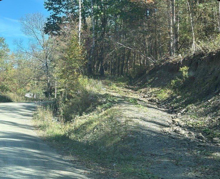 00 Dalton Hill Road, Newark Valley, NY 13811