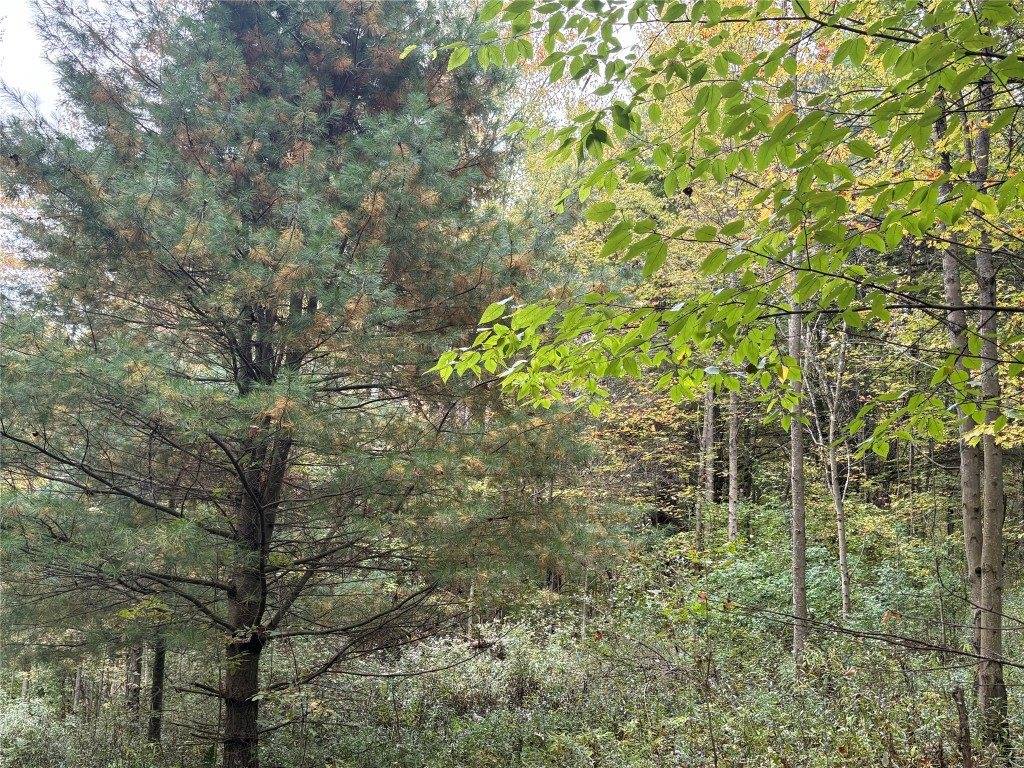 00 Dalton Hill Road, Newark Valley, NY 13811