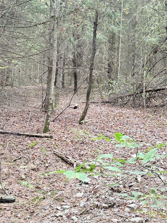 00 Dalton Hill Road, Newark Valley, NY 13811