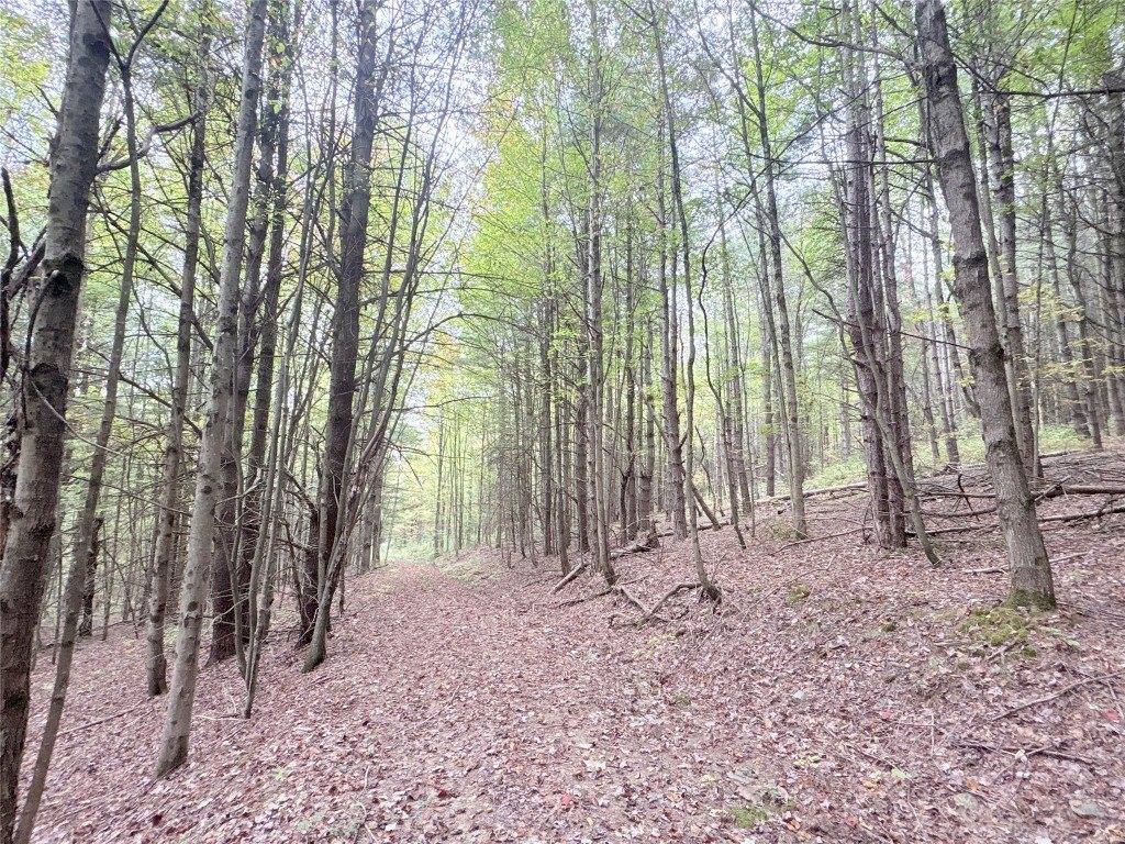 00 Dalton Hill Road, Newark Valley, NY 13811