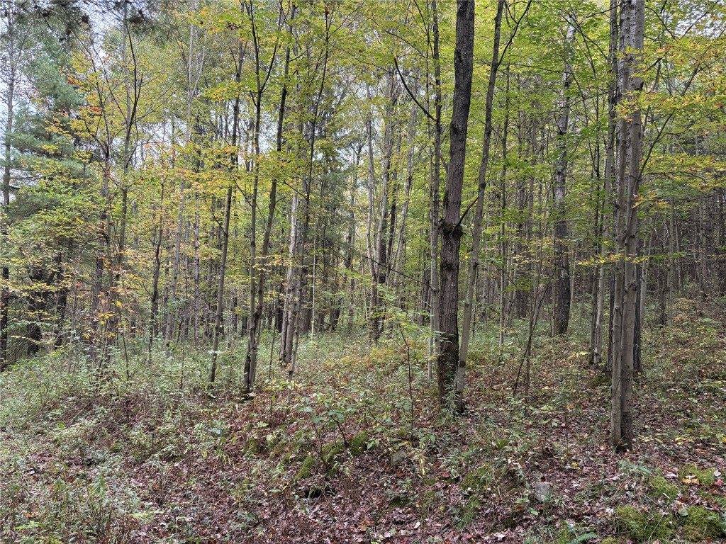 00 Dalton Hill Road, Newark Valley, NY 13811