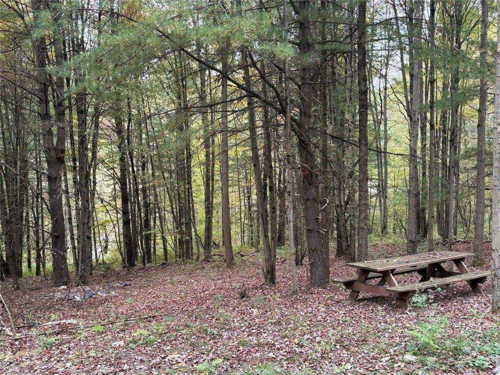 00 Dalton Hill Road, Newark Valley, NY 13811