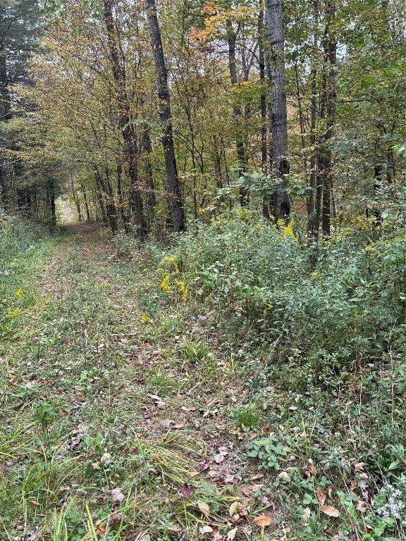 00 Dalton Hill Road, Newark Valley, NY 13811