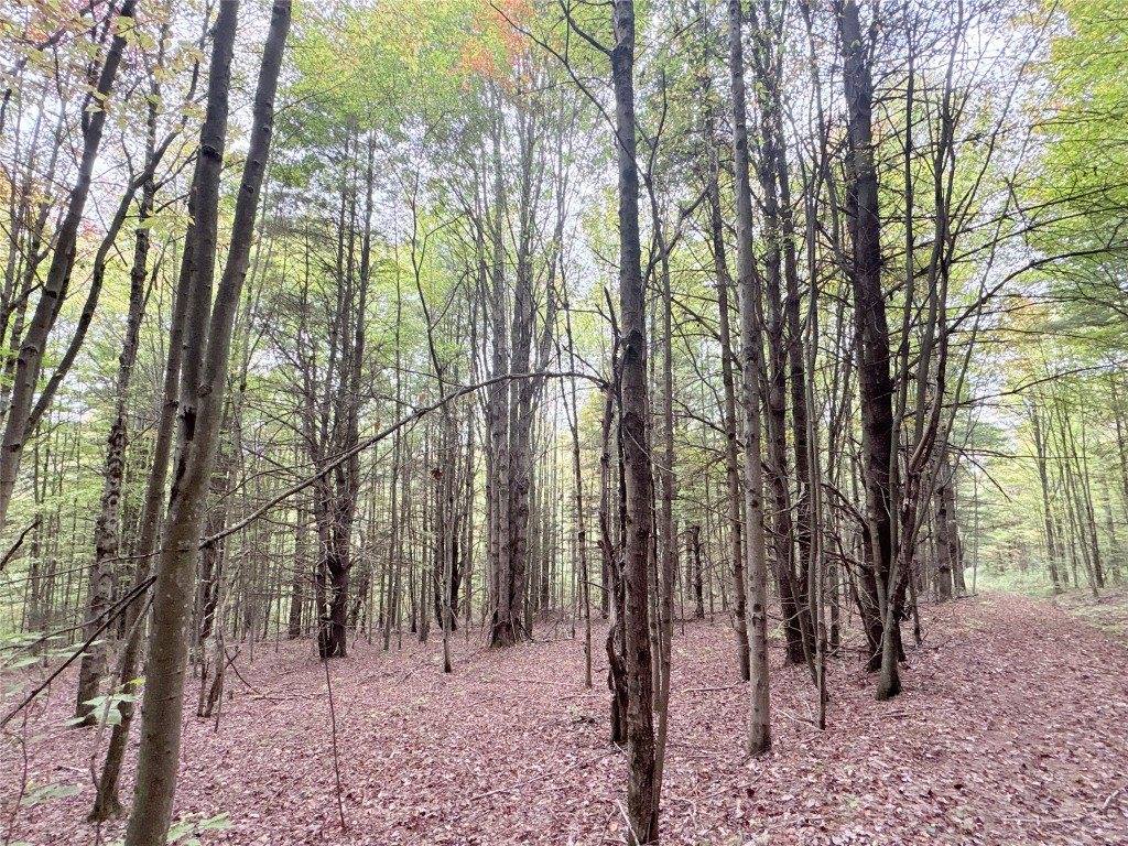 00 Dalton Hill Road, Newark Valley, NY 13811