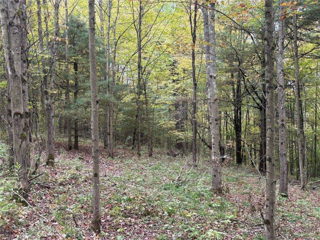 00 Dalton Hill Road, Newark Valley, NY 13811