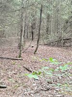 00 Dalton Hill Road, Newark Valley, NY 13811