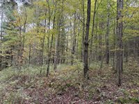 00 Dalton Hill Road, Newark Valley, NY 13811