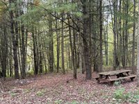 00 Dalton Hill Road, Newark Valley, NY 13811