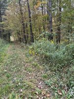 00 Dalton Hill Road, Newark Valley, NY 13811