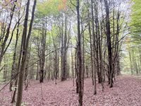 00 Dalton Hill Road, Newark Valley, NY 13811