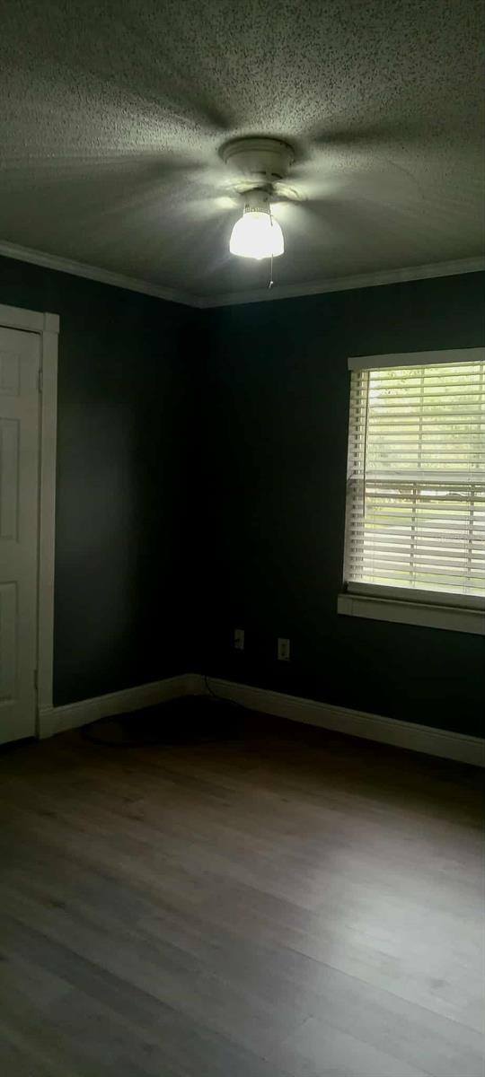 724 Carmen Drive, Lake Helen, FL 32744