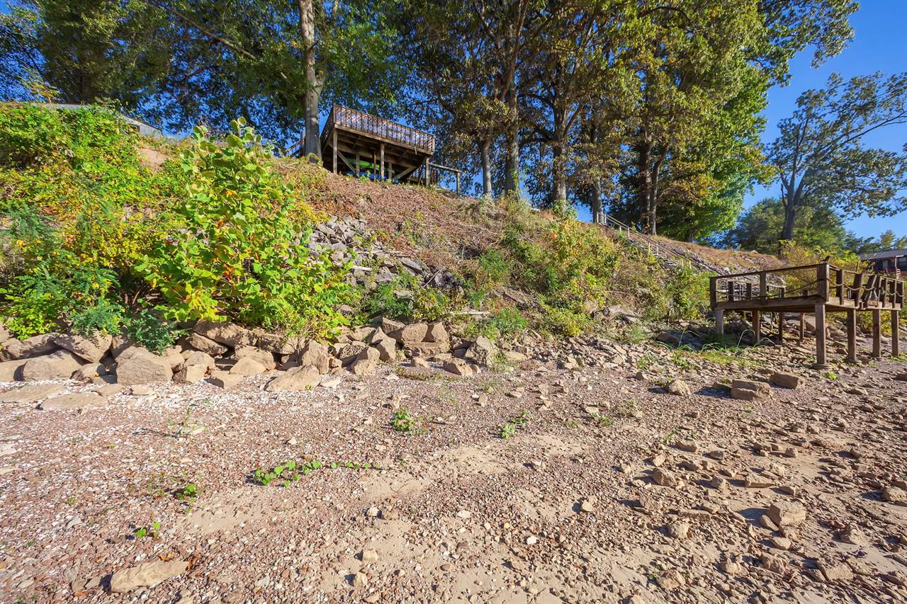 1645 Wilkinson Ferry Dr, Savannah, TN 38372