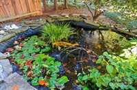 3633 Creek Ridge Drive, Denver, NC 28037