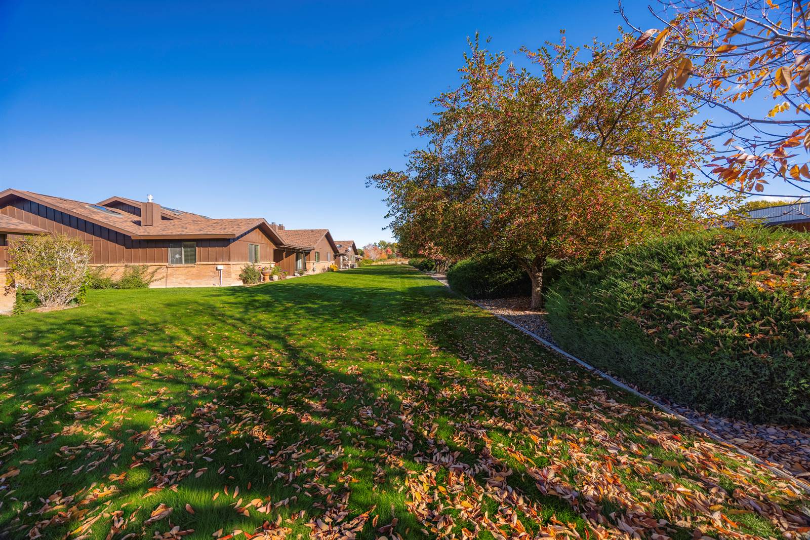 1119 Phillips Court, Montrose, CO 81401