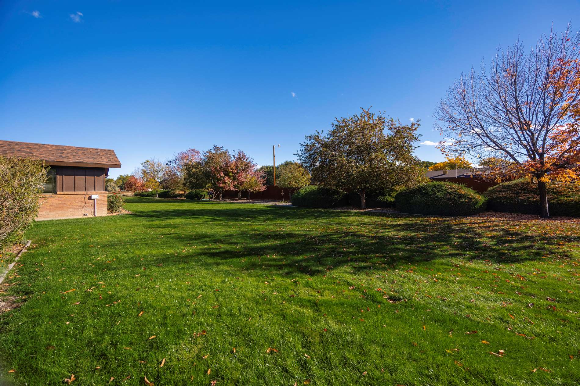 1119 Phillips Court, Montrose, CO 81401